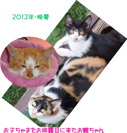 2013年・晩夏 お鶴ちゃんとお子ちゃまたち