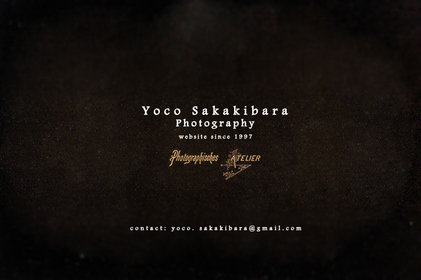 yoco_sakakibara